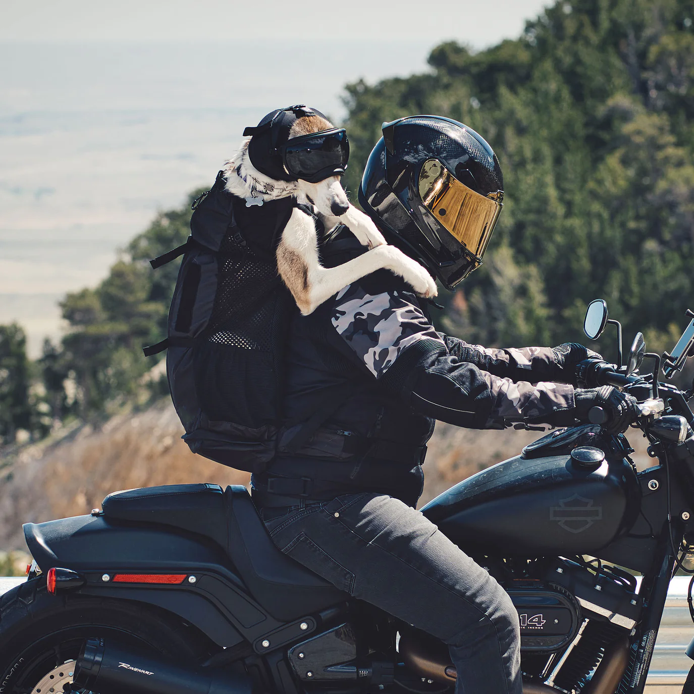 Dog Ear Protection Muffs | Protects Dogs from Noise-Induced Hearing Damage