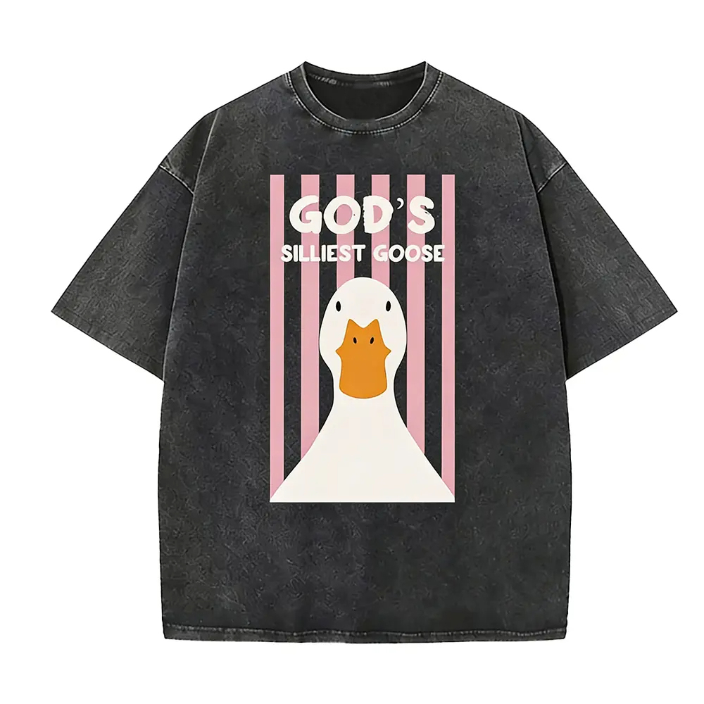 God's Silliest Goose Washed T-Shirt