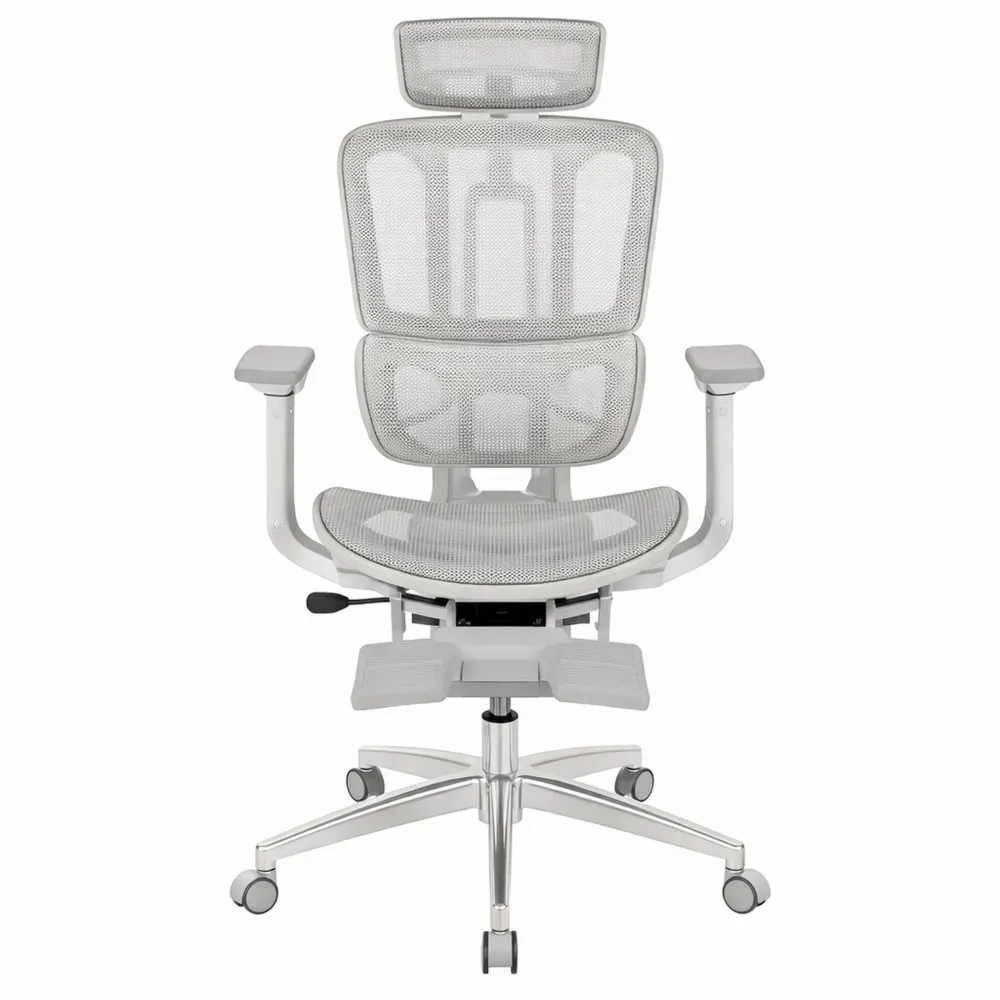 Sedia Ergonomica da Ufficio con Supporto Lombare e Braccioli Regolabili