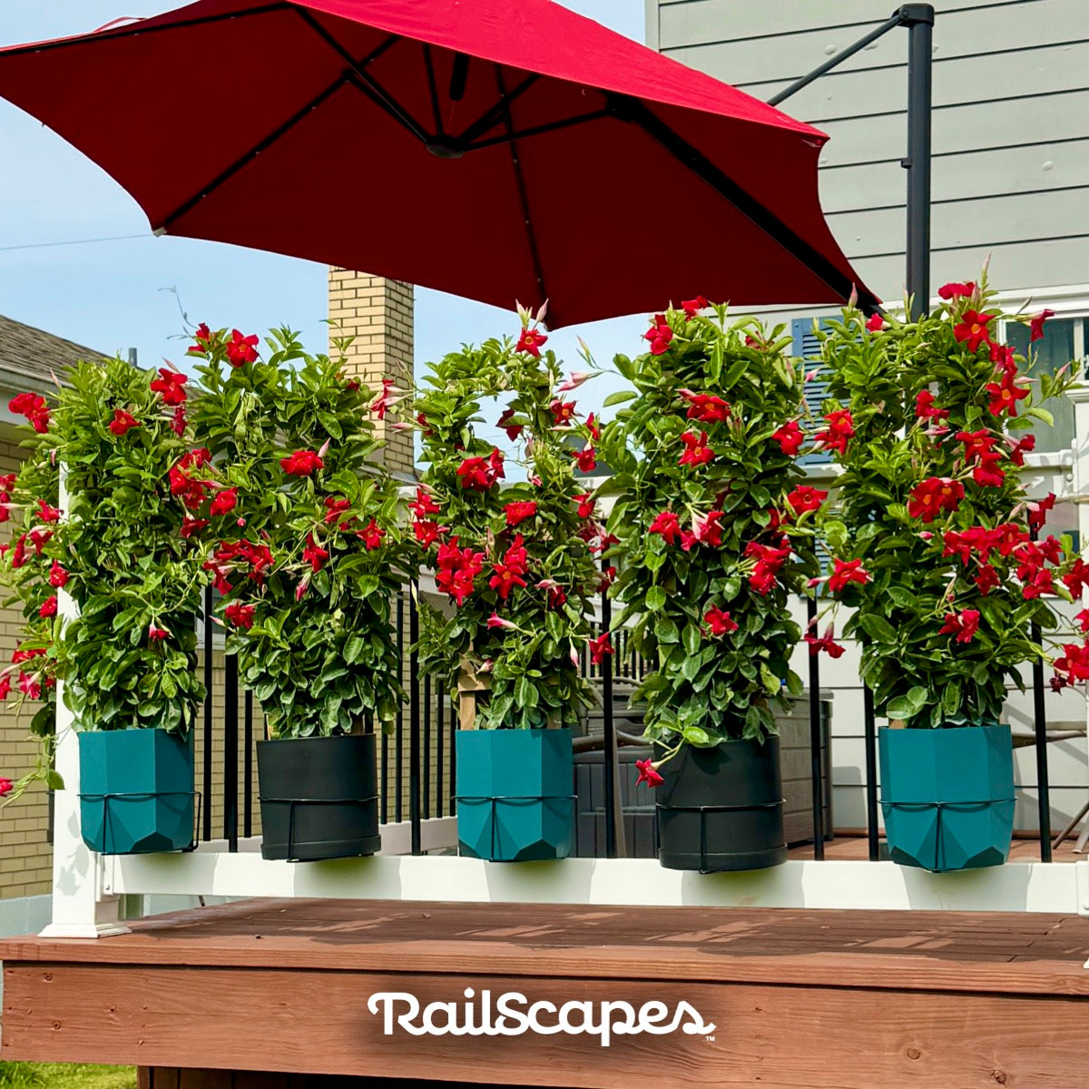 RailScapes Plant Clip