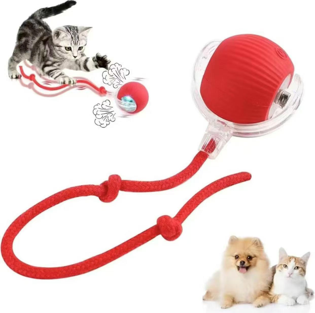 Interactive Toy Ball, Motion-Activated Rechargeable Rolling Ball with Tail for Indoor Cats & Small Dogs