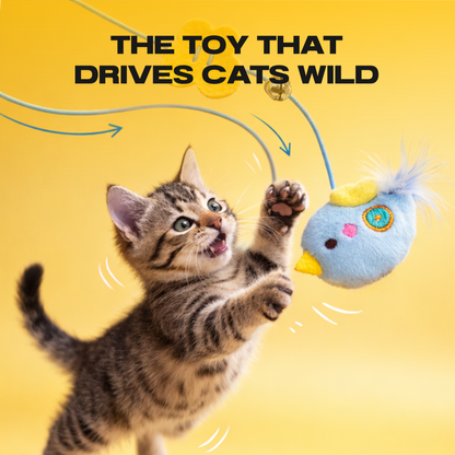 Automatic Yo-Yo Cat Toy, Interactive Retractable Wand for Indoor Cats