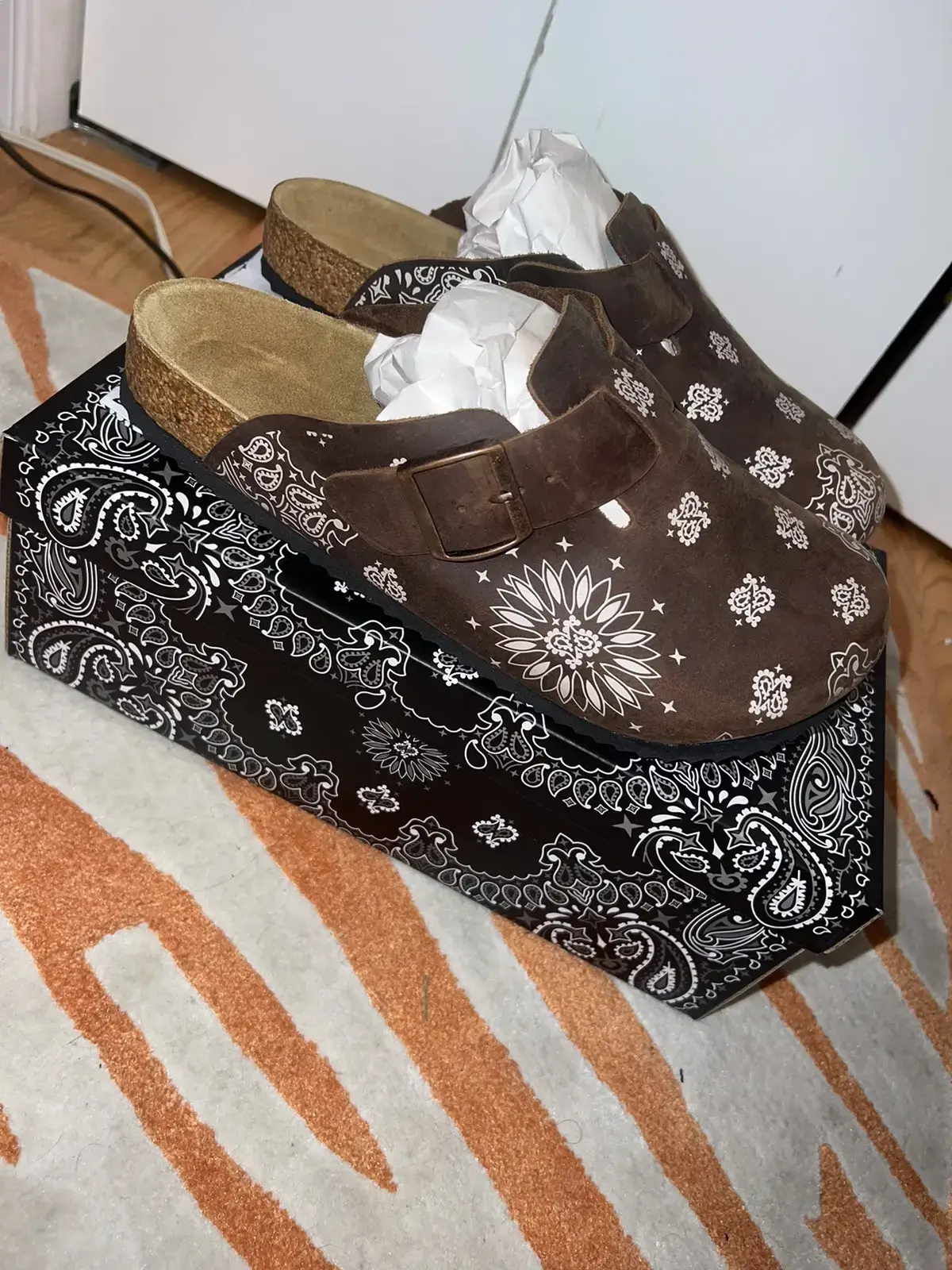 Paisley Clogg's