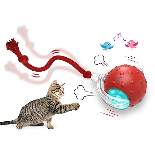 Chirping Cat Toy Ball, Interactive Automatic Rolling Cat Toy 