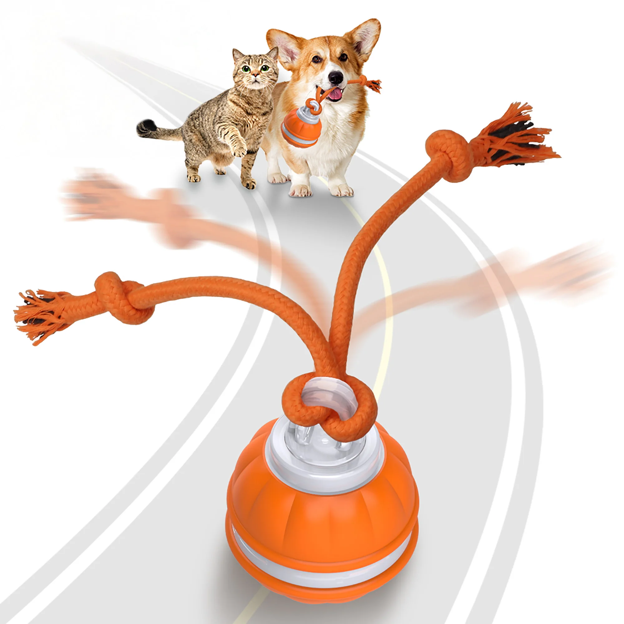 Rope Runner Interactive Squeaky Rechargeable Small Dog Ball & Rope Toy