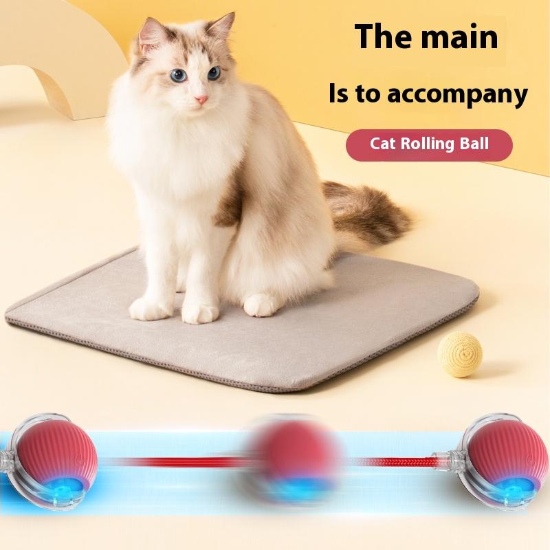 Interactive Toy Ball, Motion-Activated Rechargeable Rolling Ball with Tail for Indoor Cats & Small Dogs