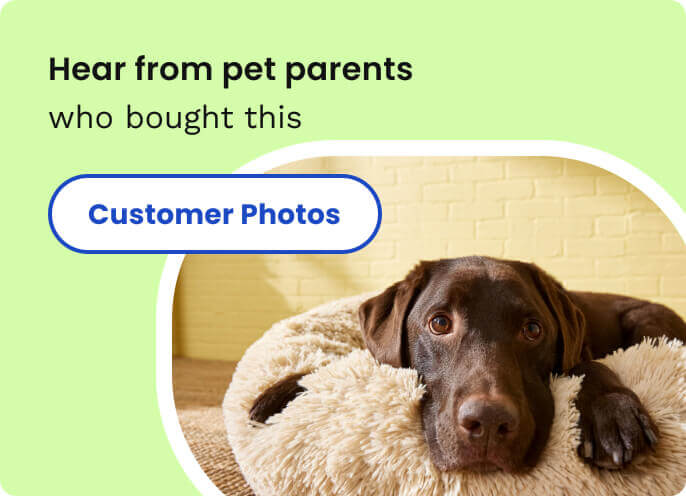 Shell-Shaped Rocking Pet Bed, Plush Elevated Cat Bed with Adjustable Metal Base