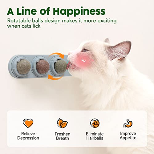 4-in-1 Catnip Wall Balls, Rotatable Cat Treat Lick Balls for Cats