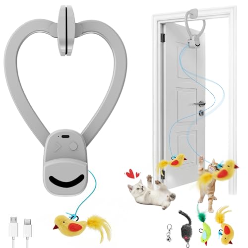 Interactive Hanging Cat Toy, Automatic Moving Door Hanger with Bird & Mouse Refills