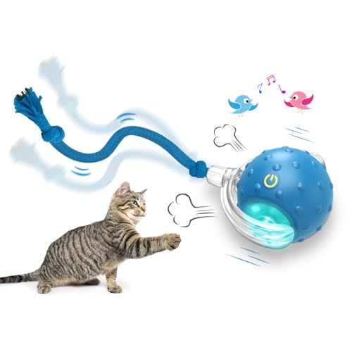 Chirping Cat Toy Ball, Interactive Automatic Rolling Cat Toy 