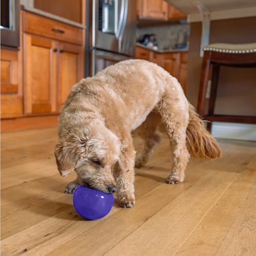 SNOOPY Slow Feeder Dog Bowl, Interactive Treat Dispensing Toy, Orange