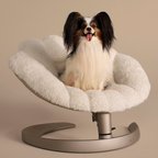 Shell-Shaped Rocking Pet Bed, Plush Elevated Cat Bed with Adjustable Metal Base