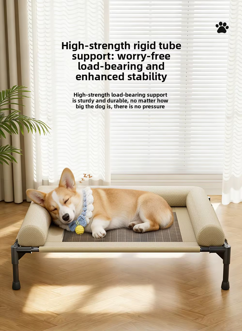 Elevated Beds for Pet