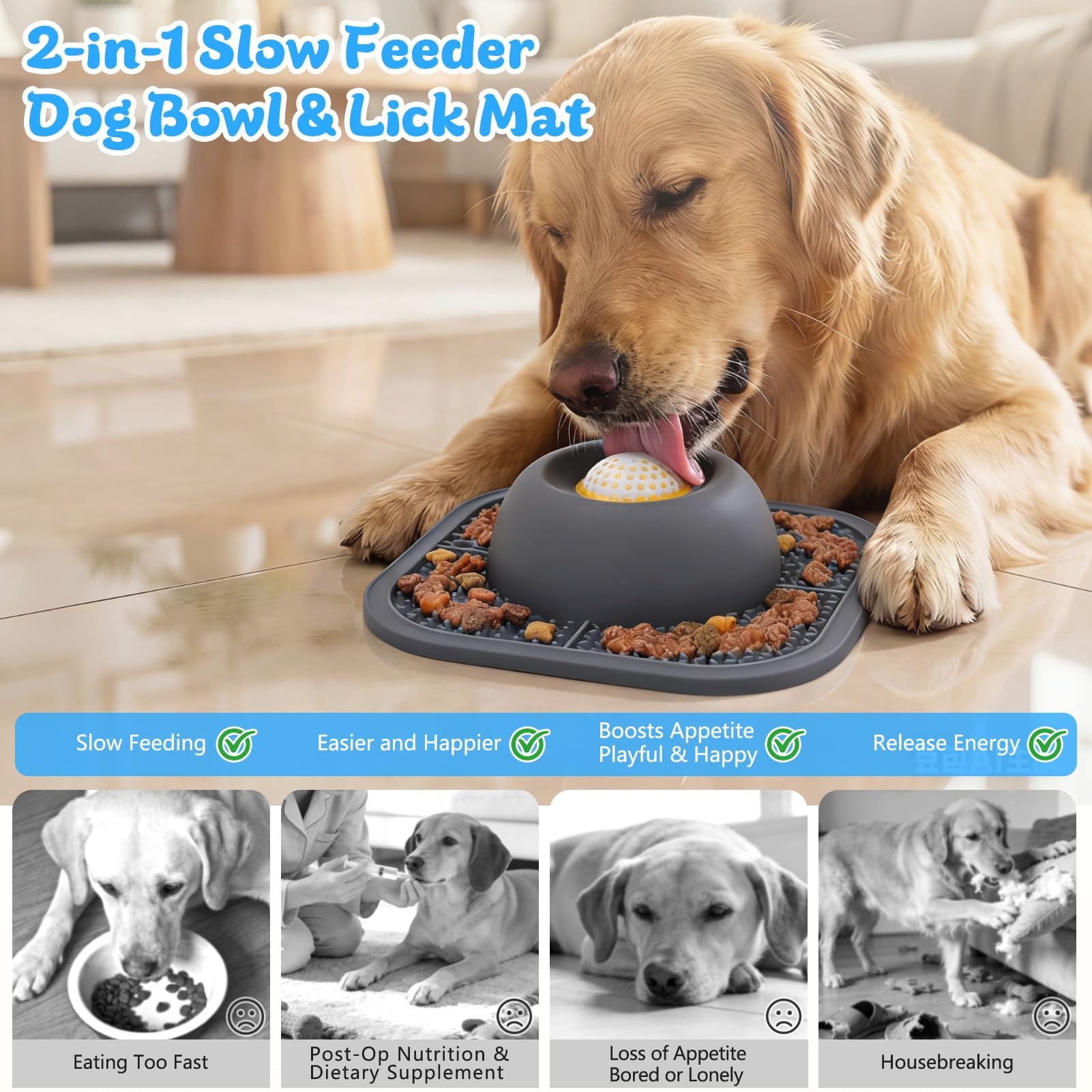 2 in 1 Slow Feeder Bowls & Lick Mat