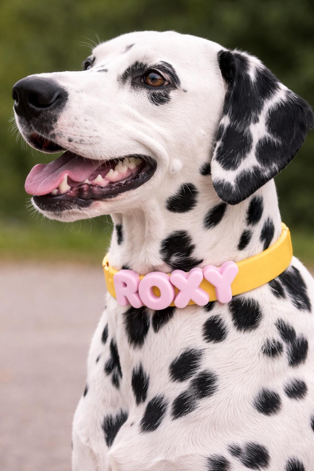Customizable Silicone Dog Collar with Name | Pastel Puppy Pet Collar