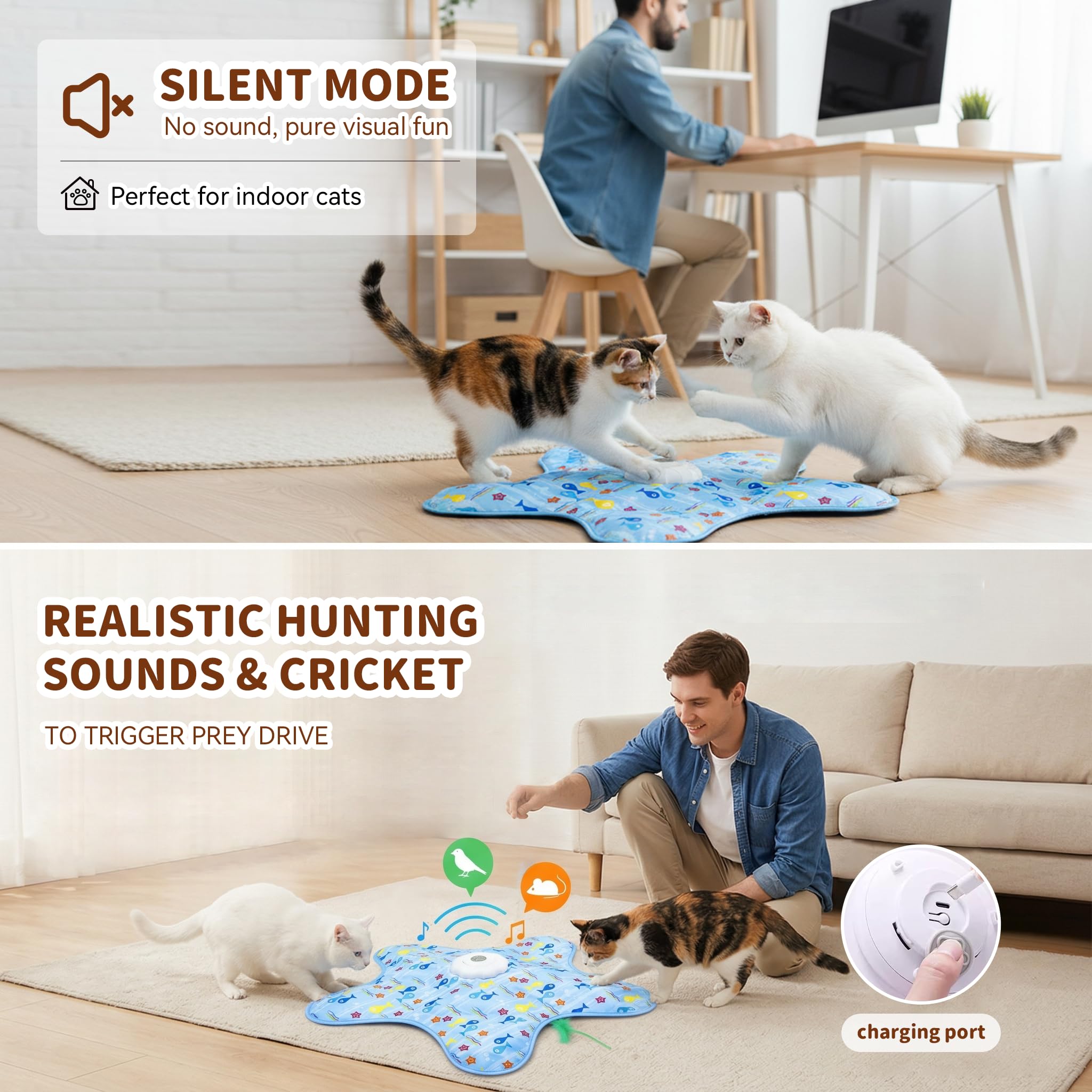 Rechargeable, Touch-Activated "Hide and Seek" Starfish Pet Toy