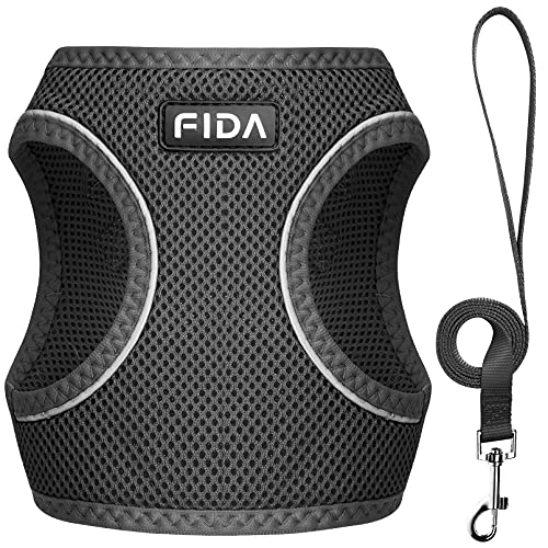 Breathable Mesh Cat Harness and Leash Set, Escape Proof Reflective Vest for Kitten Outdoor Walking