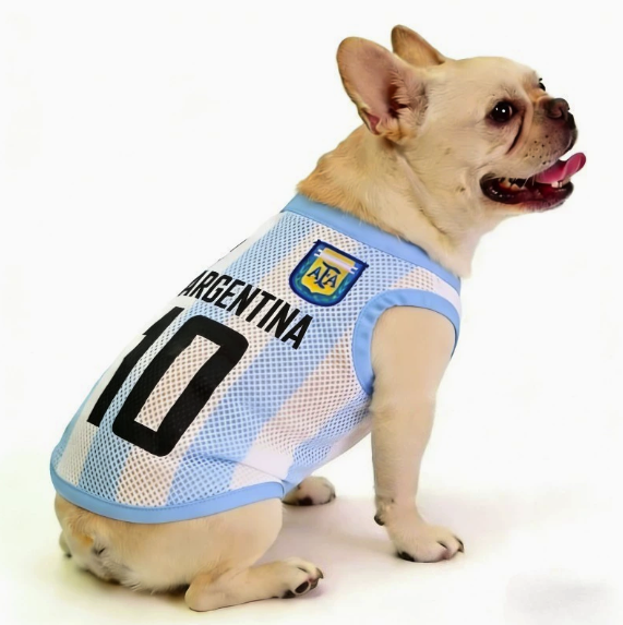 World Cup Style Pet Jersey 