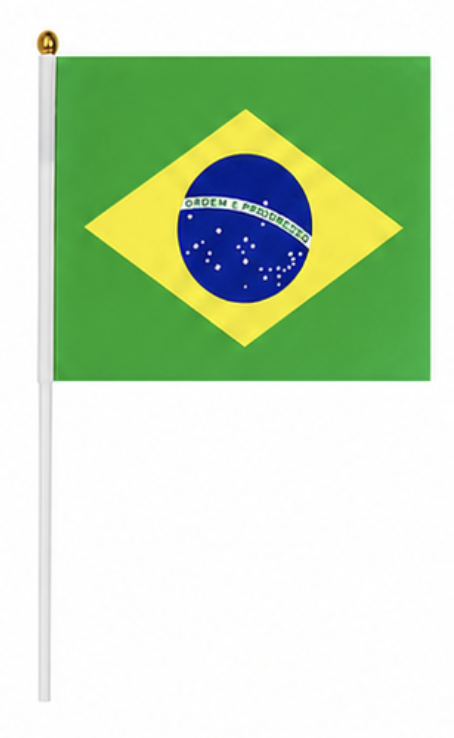 World Cup Fan Flags 🇺🇸🇦🇷🇫🇷🇧🇷🏴🇪🇸🇩🇪🇵🇹