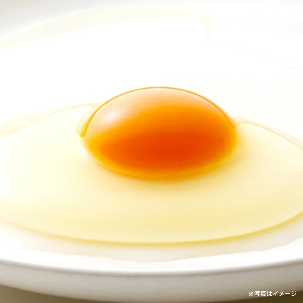 【あす楽】森のたまご 72個（＋割れ補償6個）【04444-0036】 卵 タマゴ 鶏卵 食品 ギフト 贈り物 人気 送料無料 宮城県 色麻町