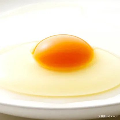【あす楽】森のたまご 72個（＋割れ補償6個）【04444-0036】 卵 タマゴ 鶏卵 食品 ギフト 贈り物 人気 送料無料 宮城県 色麻町