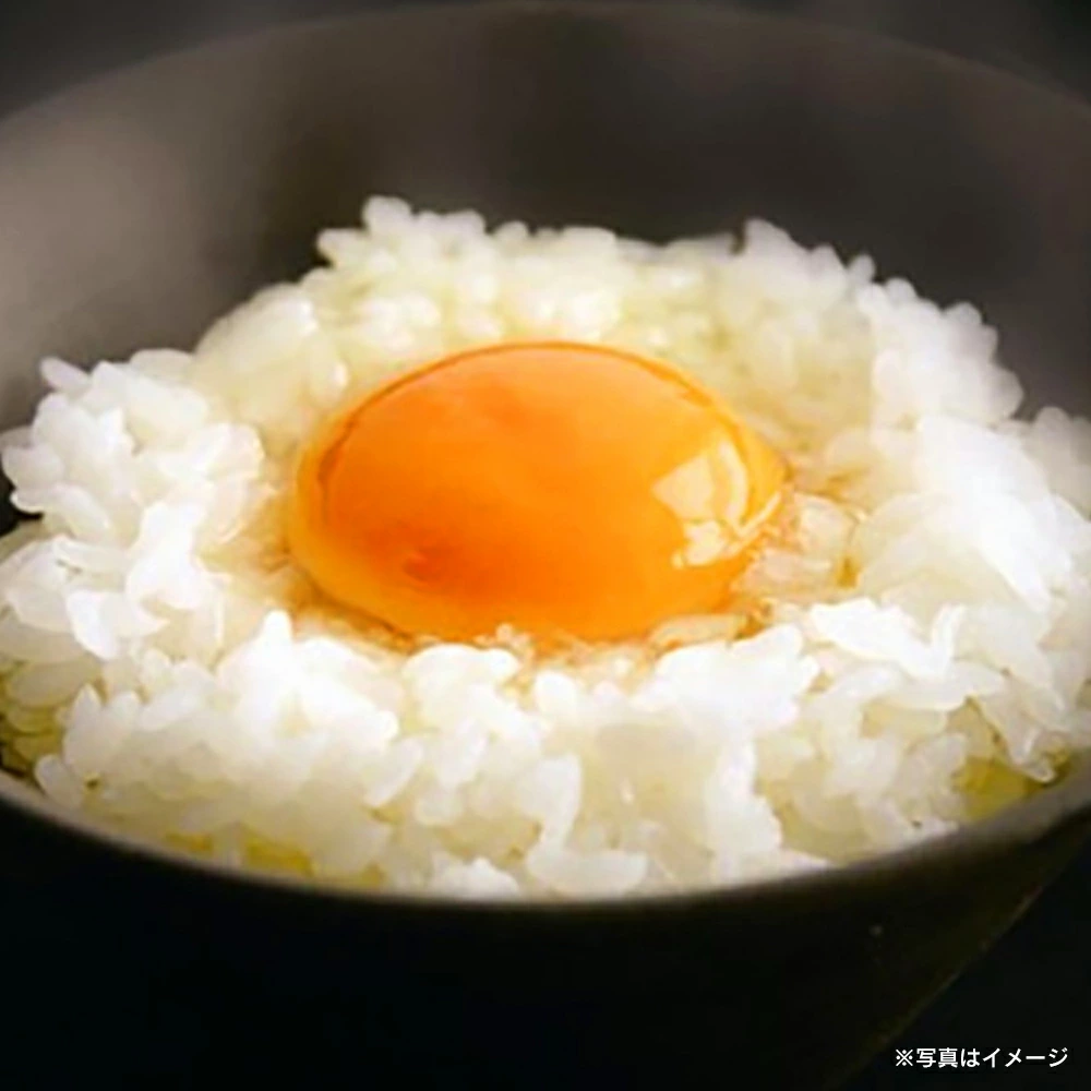 【あす楽】森のたまご 72個（＋割れ補償6個）【04444-0036】 卵 タマゴ 鶏卵 食品 ギフト 贈り物 人気 送料無料 宮城県 色麻町
