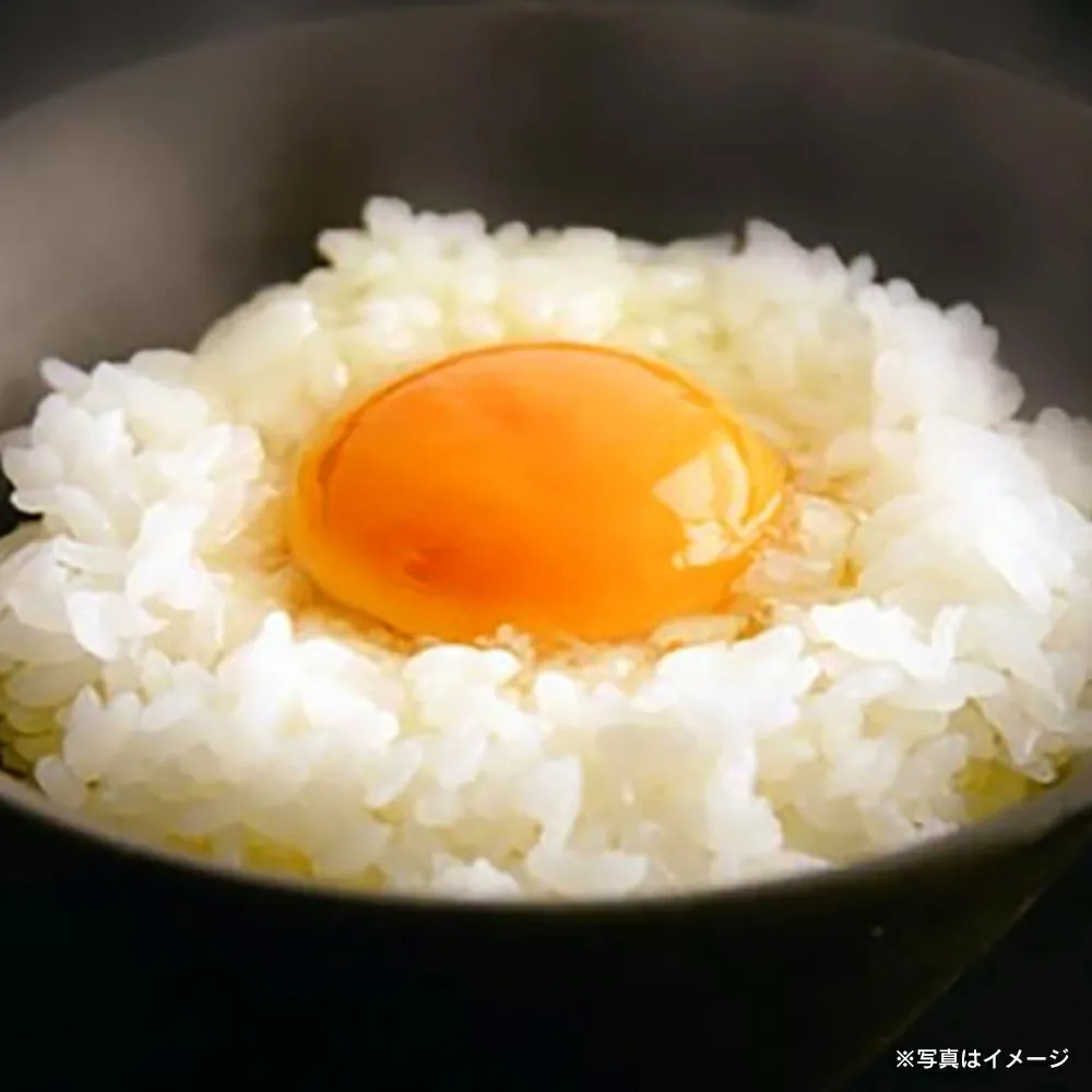 【あす楽】森のたまご 72個（＋割れ補償6個）【04444-0036】 卵 タマゴ 鶏卵 食品 ギフト 贈り物 人気 送料無料 宮城県 色麻町