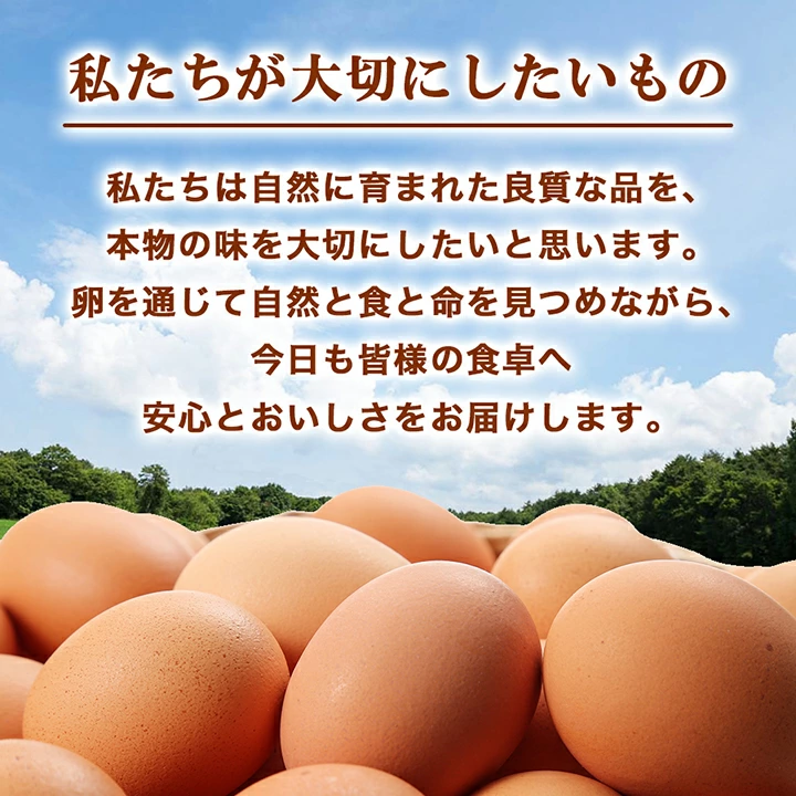 【あす楽】蘭王たまご_ 卵 たまご 玉子 タマゴ 鶏卵 まとめ買い オムレツ 卵かけご飯 朝食 料理 人気 美味しい 【1332593】