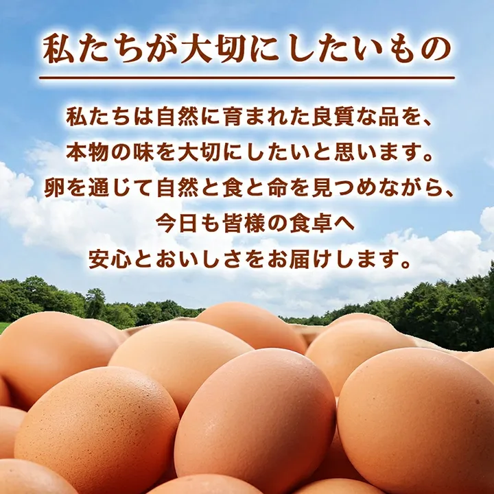 【あす楽】蘭王たまご_ 卵 たまご 玉子 タマゴ 鶏卵 まとめ買い オムレツ 卵かけご飯 朝食 料理 人気 美味しい 【1332593】