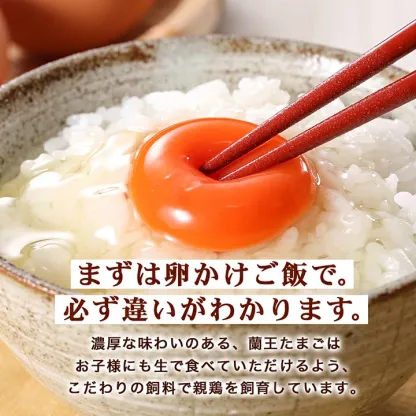 【あす楽】蘭王たまご_ 卵 たまご 玉子 タマゴ 鶏卵 まとめ買い オムレツ 卵かけご飯 朝食 料理 人気 美味しい 【1332593】