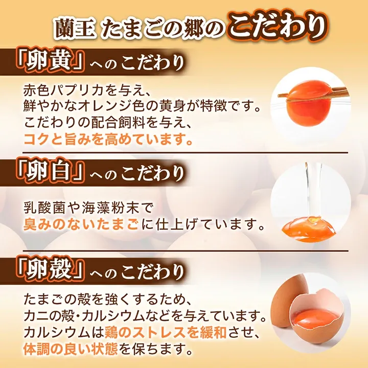 【あす楽】蘭王たまご_ 卵 たまご 玉子 タマゴ 鶏卵 まとめ買い オムレツ 卵かけご飯 朝食 料理 人気 美味しい 【1332593】
