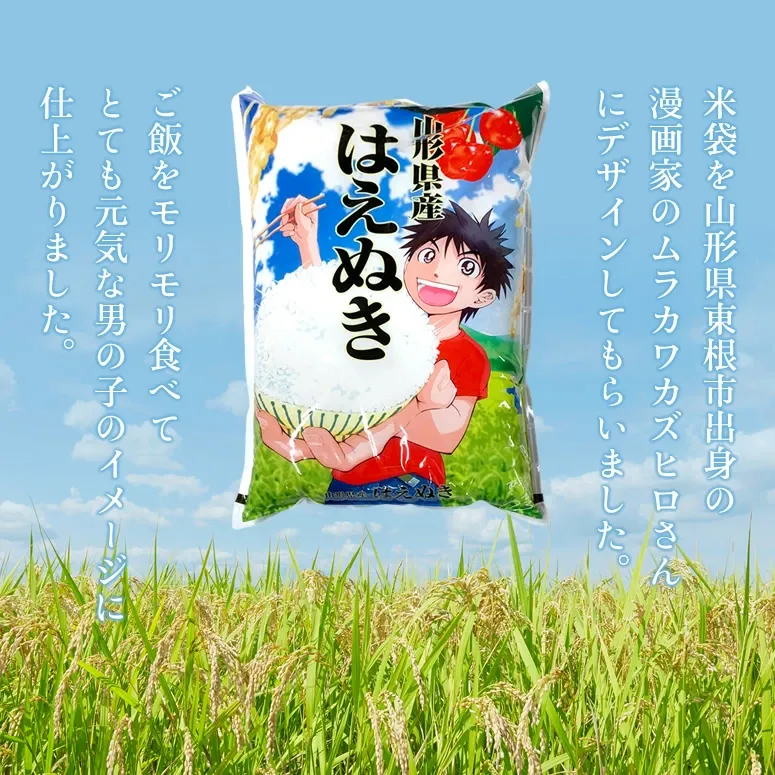 令和7年産 山形県産 はえぬき 白米10kg×2袋