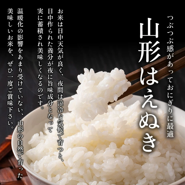令和7年産 山形県産 はえぬき 白米10kg×2袋
