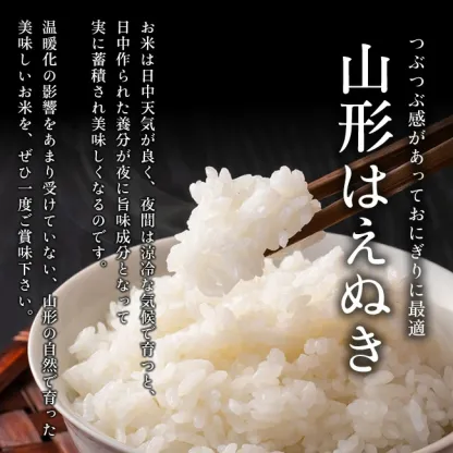 令和7年産 山形県産 はえぬき 白米10kg×2袋