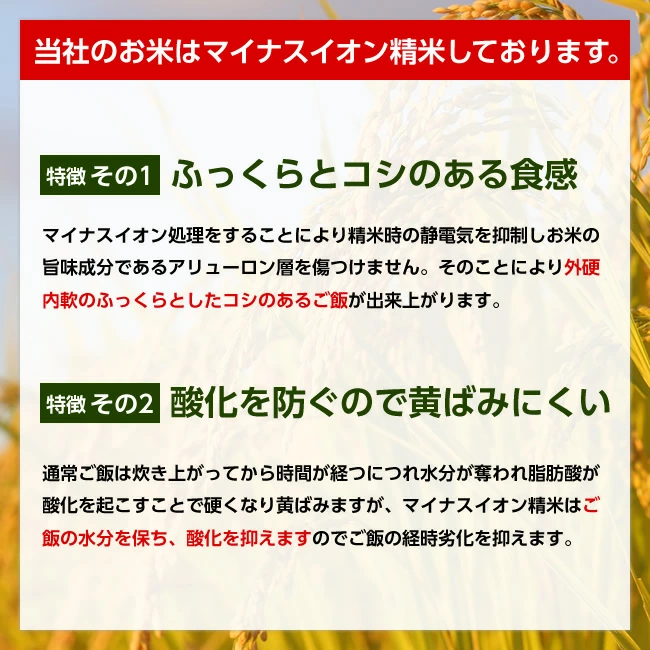 令和7年産 山形県産 はえぬき 白米10kg×2袋