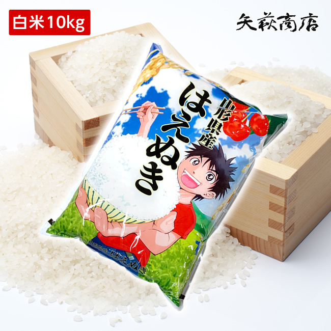 令和7年産 山形県産 はえぬき 白米10kg×2袋