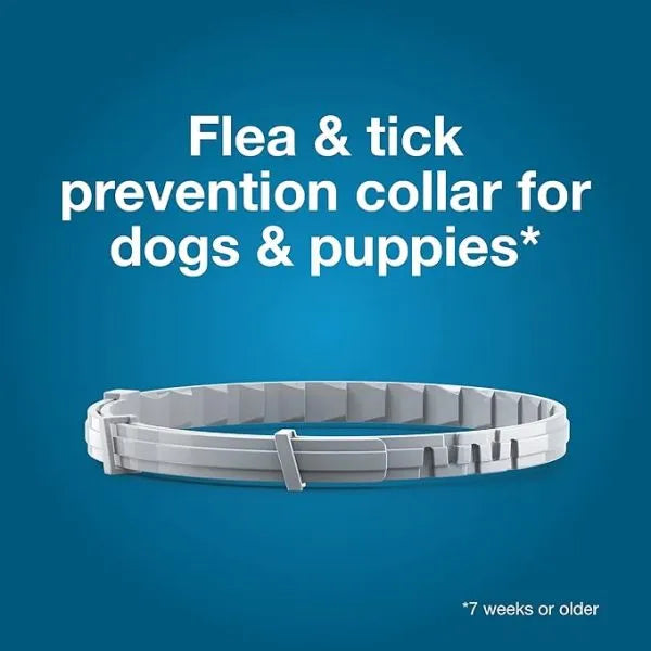 Flea & Tick Collar for Large Dogs