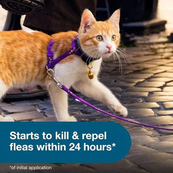 Flea and Tick Collar for Cats