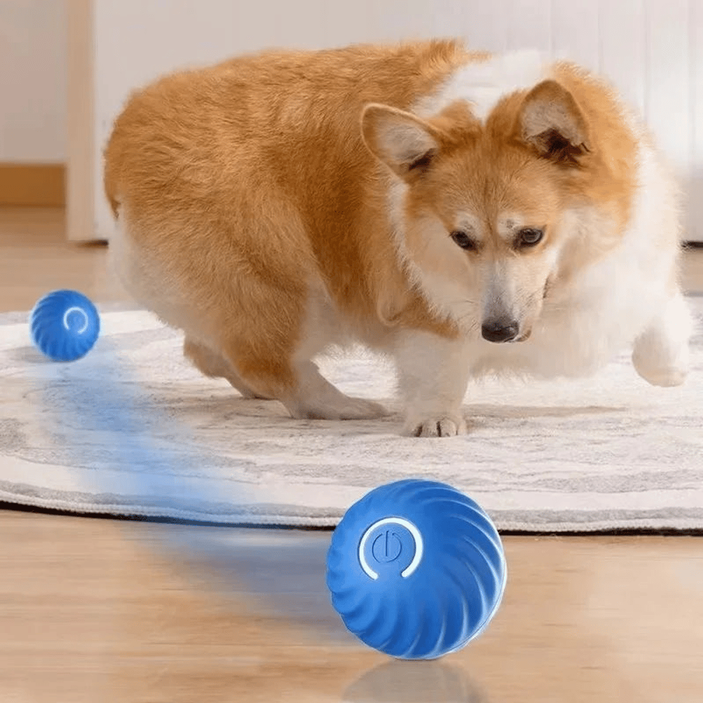 Smart Interactive Bouncing Ball