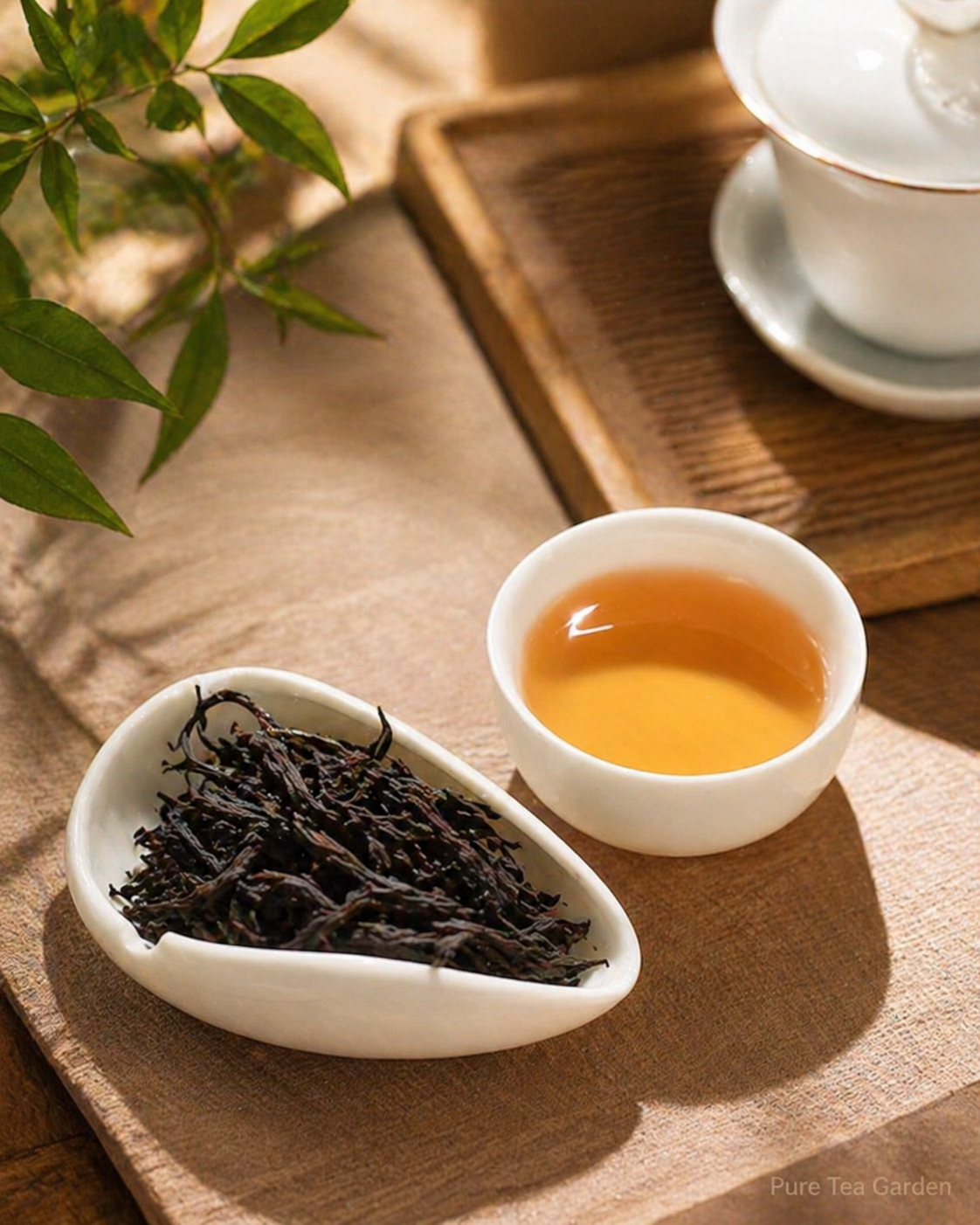 Honey Orchid Phoenix Dancong Oolong Tea | Light Floral Aroma