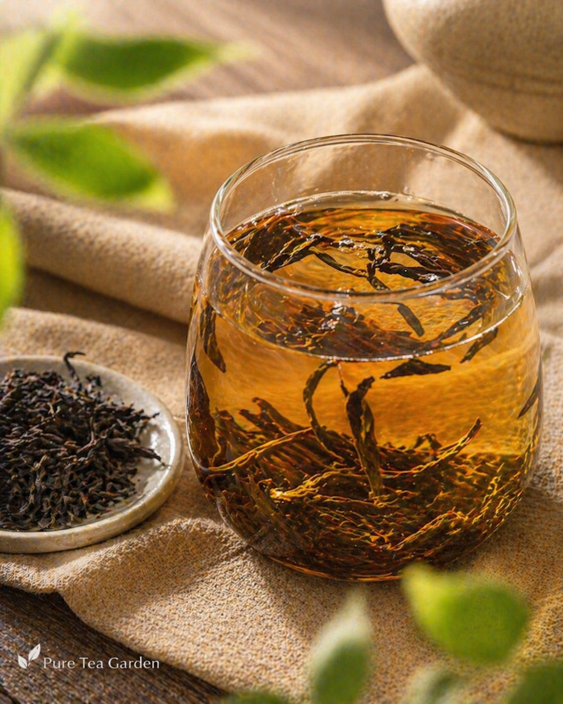 Honey Orchid Phoenix Dancong Oolong Tea | Light Floral Aroma