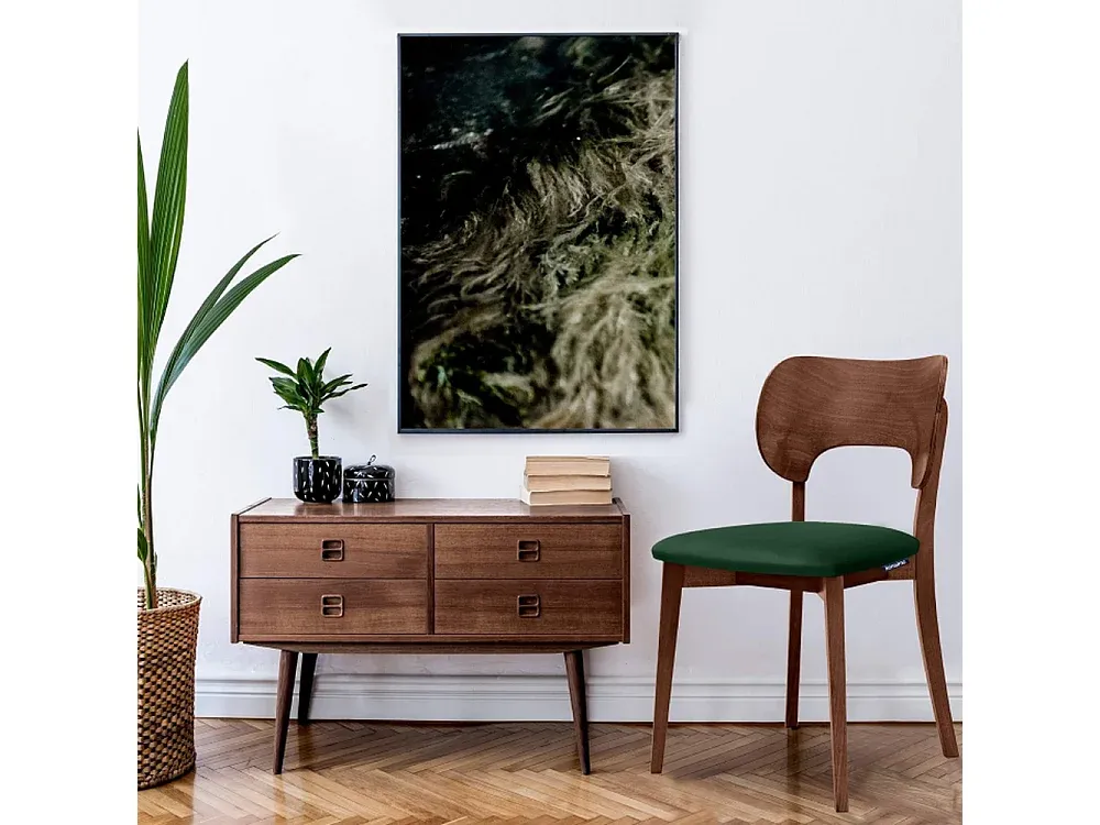 Elegante Esszimmerstühle im 2er-Set - Dunkelgrün und Walnuss