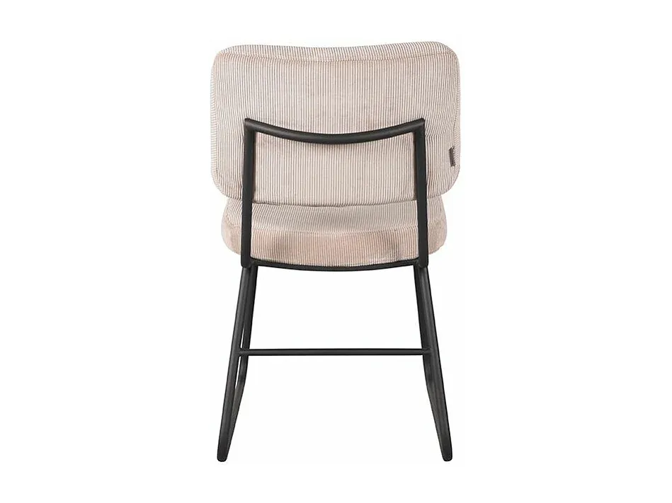 Modernes Esszimmerstuhl-Set aus Naturholz mit bequemen Polstern