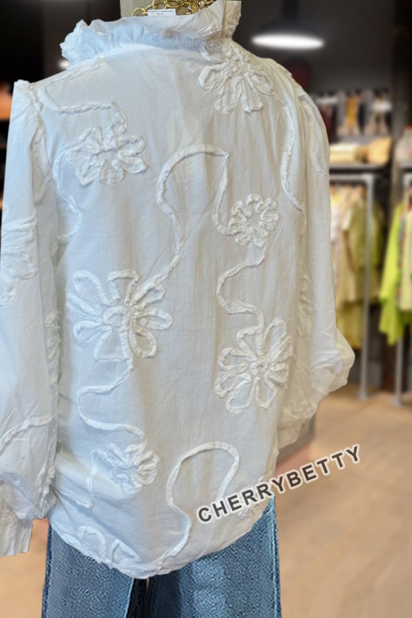 Embroidered Flower Ruffle Neck Puff Sleeve Top