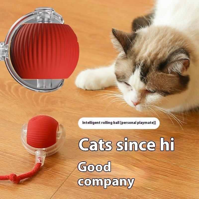Interactive Toy Ball, Motion-Activated Rechargeable Rolling Ball with Tail for Indoor Cats & Small Dogs