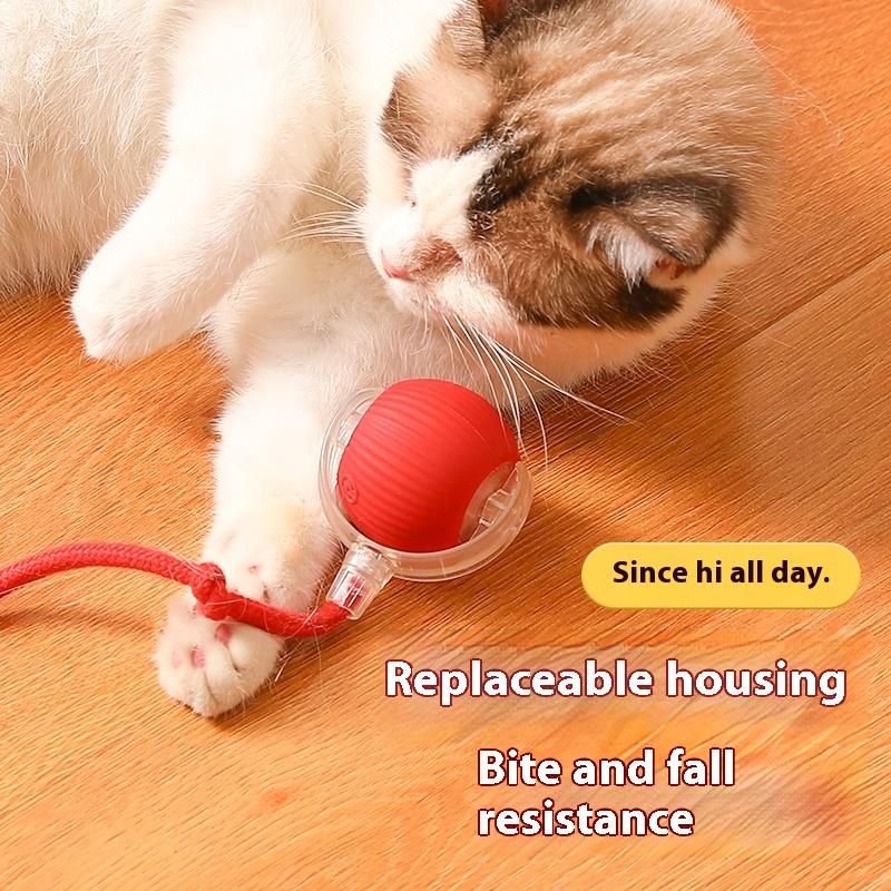 Interactive Toy Ball, Motion-Activated Rechargeable Rolling Ball with Tail for Indoor Cats & Small Dogs