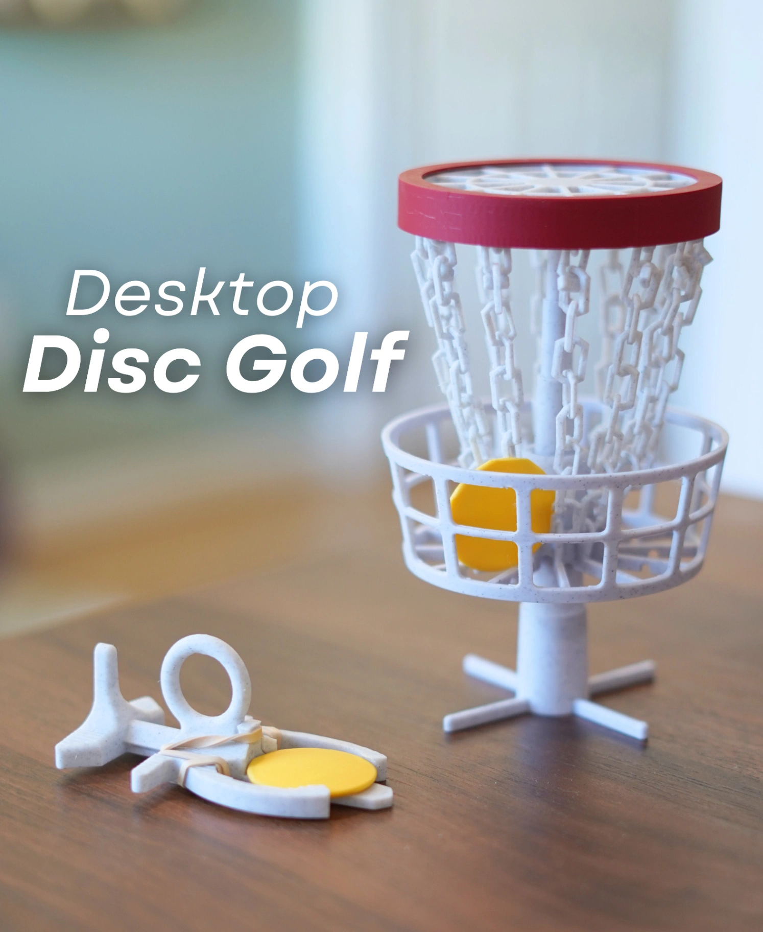 3D Desktop Disc Golf Set