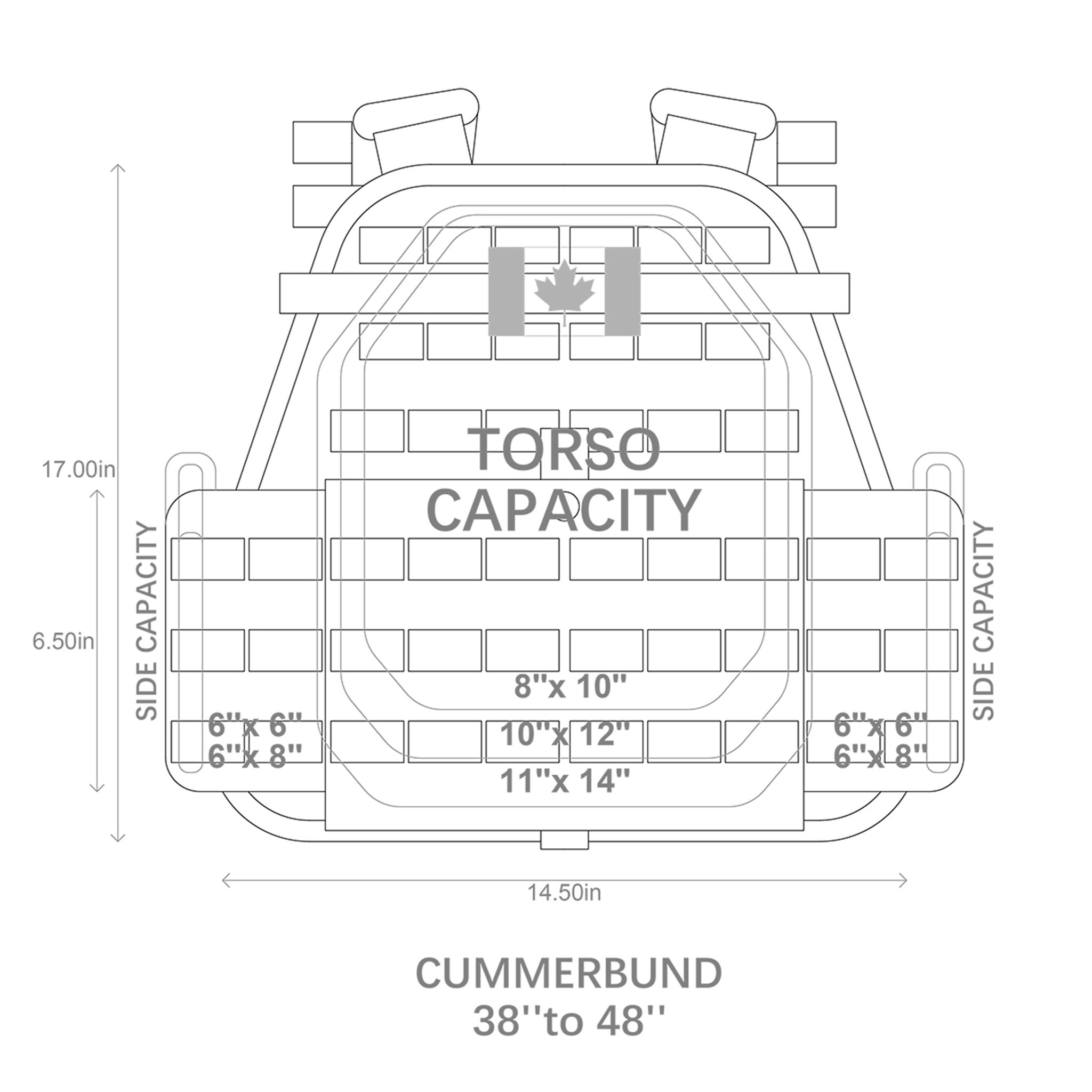 Plate Carrier