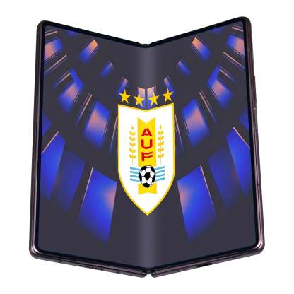 2026 FIFA WORLD CUP URUGUAY MYSTERY BOX – Jerseys, Gadgets & More