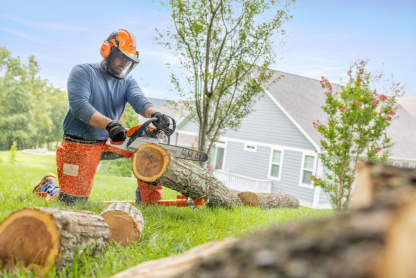 ✨✨Clearance Sale 🔥STIHL Chainsaw